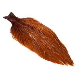 Wapsi Ewing Whole Capes