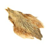 Metz Hen Neck Grade 1