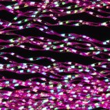 Wapsi Flashabou Accent