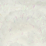 Fasna Egg-Fly Pearl