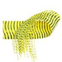 RRB306 Yellow / Black