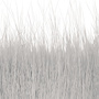 01 White