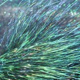 Sybai Saltwater Angel Hair