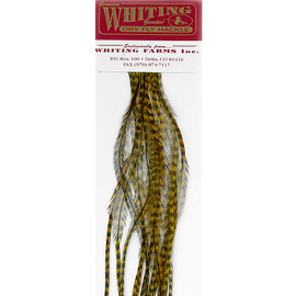 Whiting 100 Packs