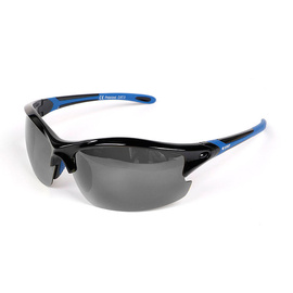 Expert Sunglasses OEX0074