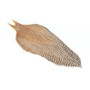 Barred Variant