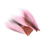 BTP103 Pink