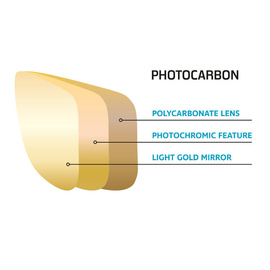 Vision Sunglasses Tipsi PhotoCarbon, Brown