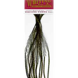 Whiting 100 Packs