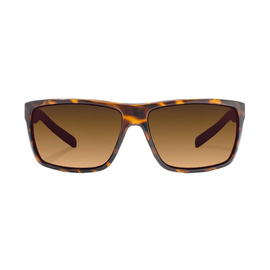 Bajio Sigs - Br. Tort Gloss - Copper - PC