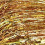 Dark Gold