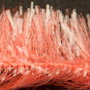 Fluo Coral