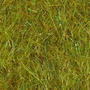KB091 Brown Olive Dragon