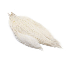 Metz Cock Neck Grade 1