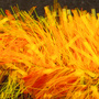 Fluo Sunburst