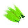 BTP509 Fluo Chartreuse
