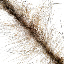 Hends Long Chenille