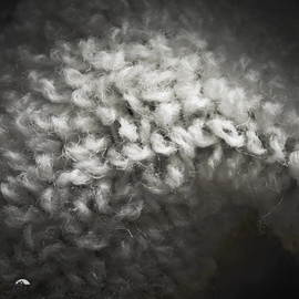 Geoff Anderson WizWool HeavyWeight Grey