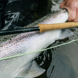 Winston Fly Rod Air 2 TH