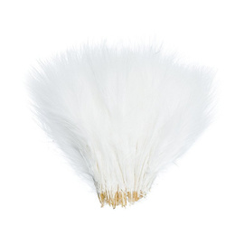 BG Strung Marabou