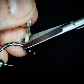 Scissors Renomed Braid Cutter Small