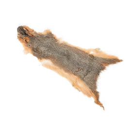 Wapsi Squirrel Skin Natural Fox