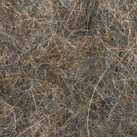 Wapsi Sow-Scud Dubbing