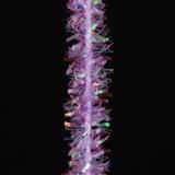 Hends Krystal Chenille 4mm