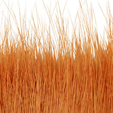 BG Nutria Shrimp Hair Supreme