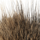 BG Nutria Shrimp Hair Supreme