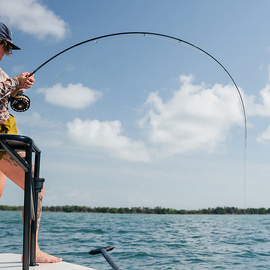 Sage Fly Rod R8 Salt