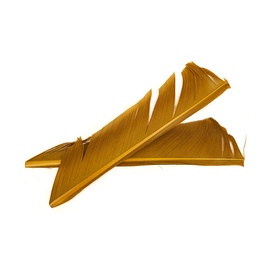 Fly-Dressing Turkey Biot Quills