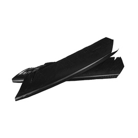 Fly-Dressing Turkey Biot Quills