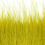 18 Yellow
