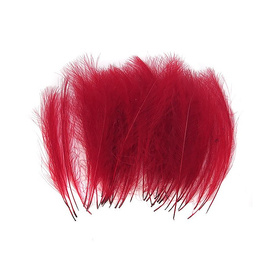 Quill & Fly CDC Superselect Colorful