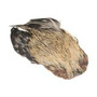 Light Badger Quality A