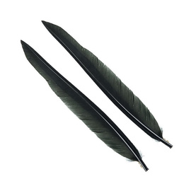 Wapsi Duck Quill, 2 pair