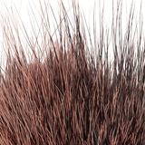 BG Nutria Shrimp Hair Supreme