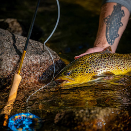 Vision Fly Rod Trout Hero 2