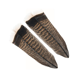 Dohiku Mottled White Tipped Turkey Tail