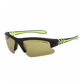 Solano Polarized Sunglasses FL 20050D