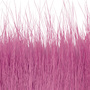 05 Pink
