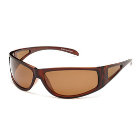 Solano Polarized Sunglasses FL 1006