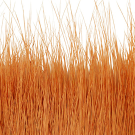 BG Nutria Shrimp Hair Supreme