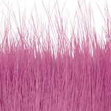 BG Nutria Shrimp Hair Supreme