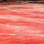 FWF508 Fluo Shell Pink WN67