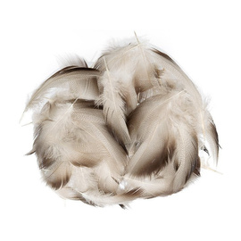 Wapsi Mallard Bronze Bulk 10 Grams