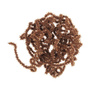 Worm Brown