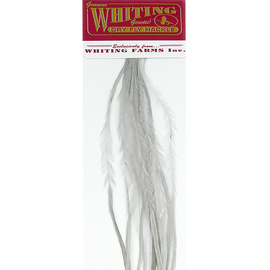 Whiting 100 Packs