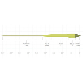 Scientific Anglers Amplitude Smooth Titan Long Floating WF